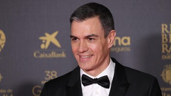 El presidente del Gobierno, Pedro