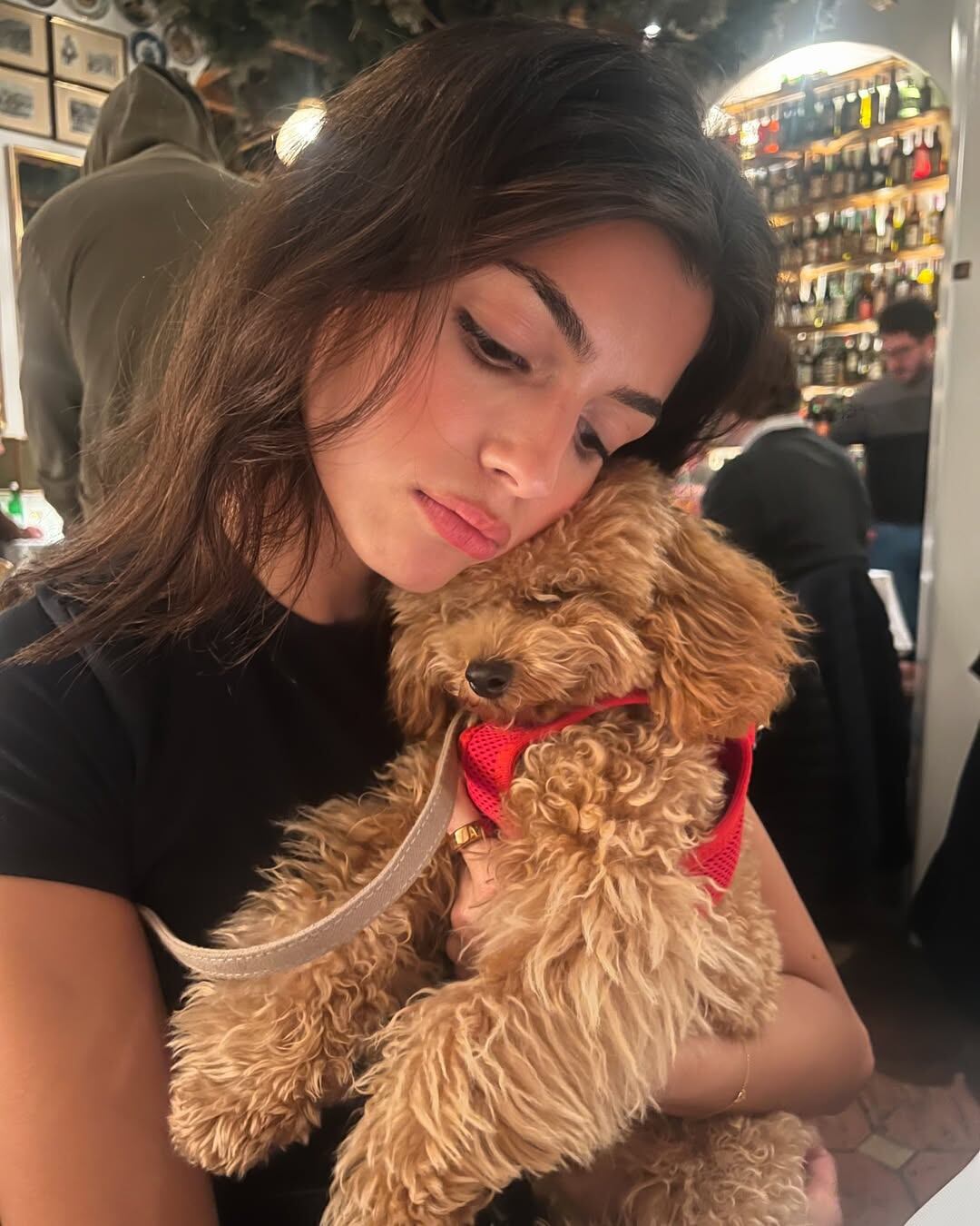 Esta es Simba, la mascota de la pareja