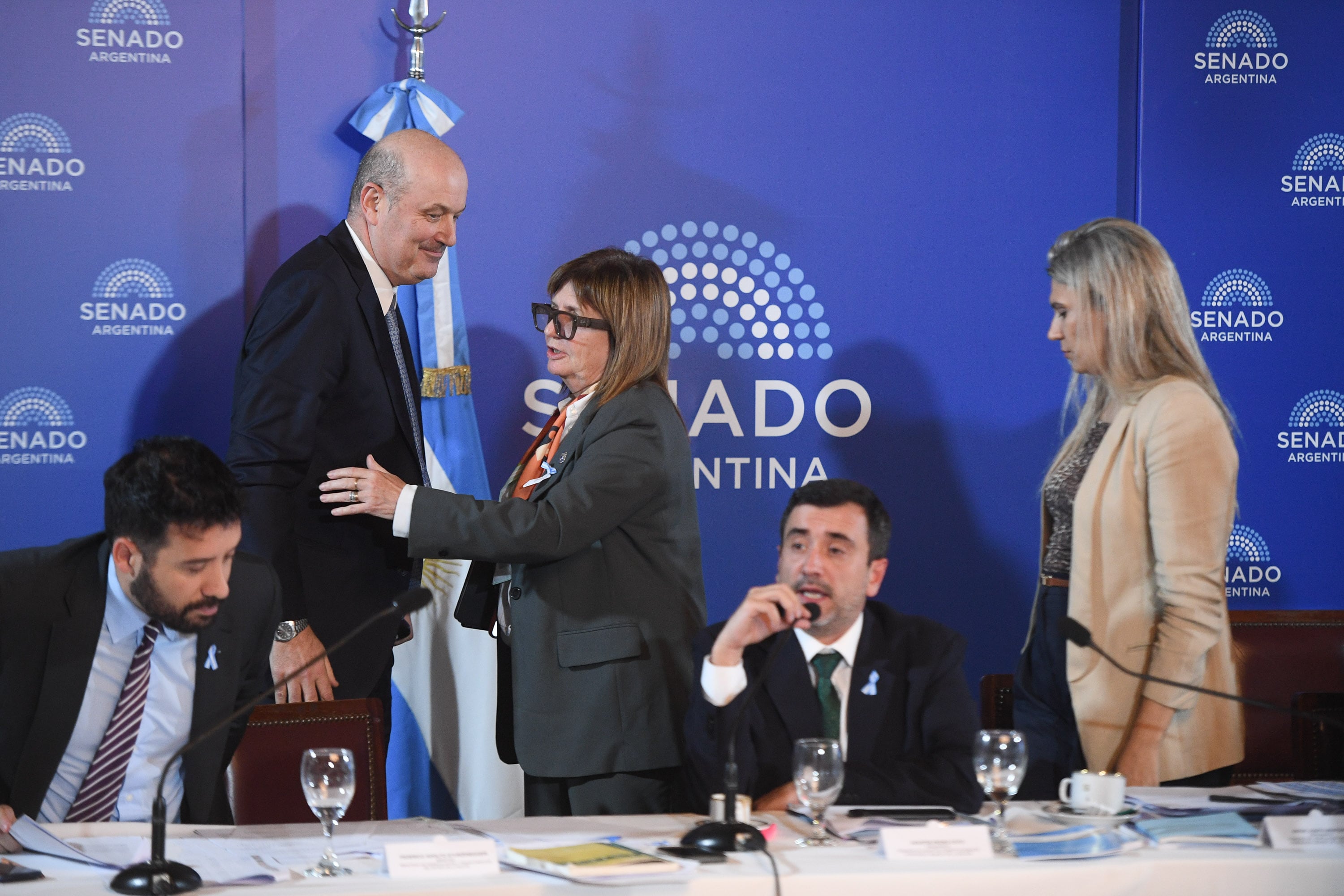 Sturzenegger en la Reunión Plenaria de las Comisiones del Senado