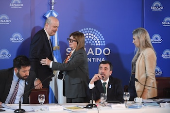 FOTOS SENADO - PLENARIA ASUNTOS CONST. Y LEG. GENERAL - STURZENEGGER CIERRE