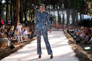 Ayres estuvo presente en la