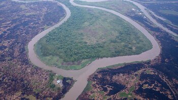 Los incendios en la Amazonía