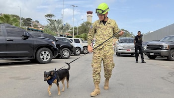 La perrita Fénix tendrá una nueva misión en El Salvador (Foto cortesía FAES)