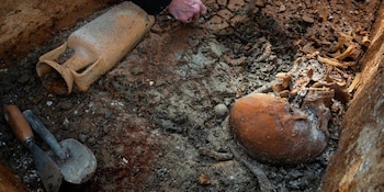 El descubrimiento resalta la rareza