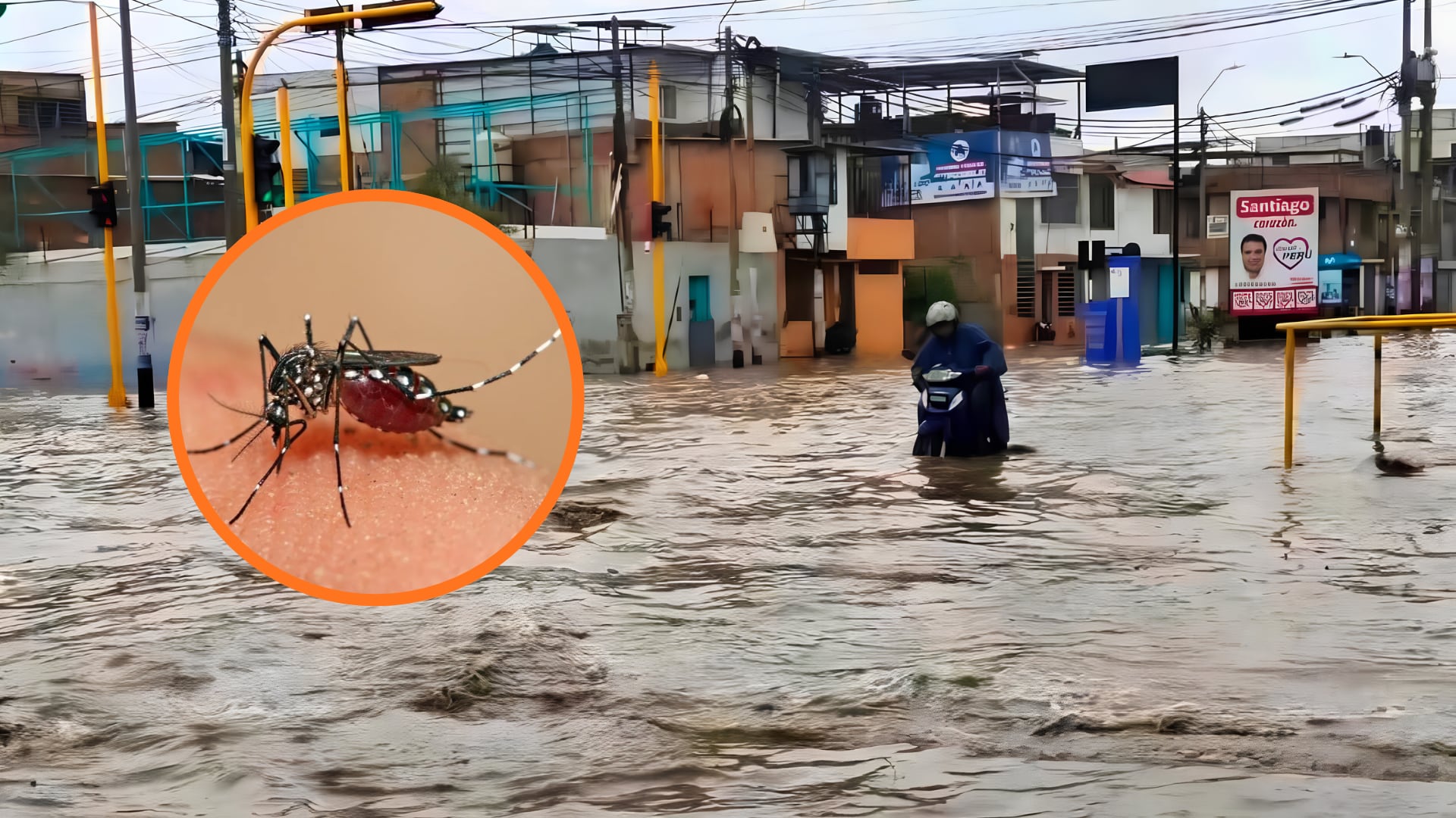 Piura registra más de 13.000 casos de dengue en Perú: Fuertes lluvias elevan la preocupación por nuevos contagios