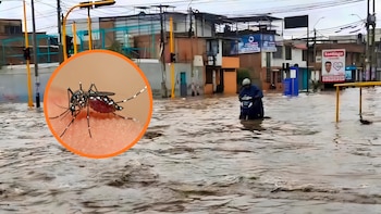 Piura registra más de 13.000 casos de dengue en Perú: Fuertes lluvias elevan la preocupación por nuevos contagios