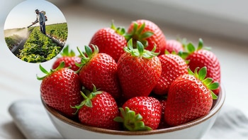 Estos son los consejos que puedes seguir para comprar frutos rojos con menos pesticidas