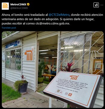 Foto: X/@MetroCDMX.