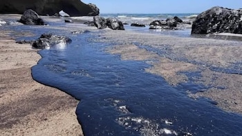 Estas son las playas afectadas por el derrame de petróleo de Dos Bocas y los riesgos a la salud de vacacionar en ellas esta Semana Santa