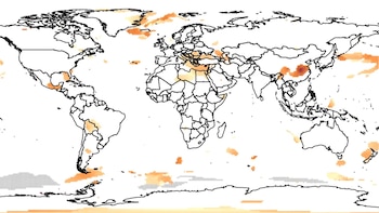 El calentamiento global no avanza al mismo ritmo en el mundo: qué regiones registran los cambios más marcados de temperatura