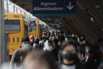 Los buses alimentadores “alimentan” al