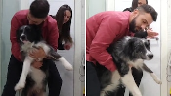 Se encerraron con su perro