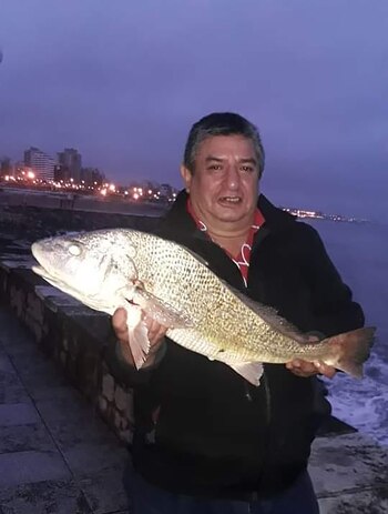 Zagari fue golpeado con un