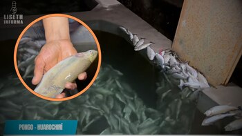 Contaminación en río Santa Eulalia