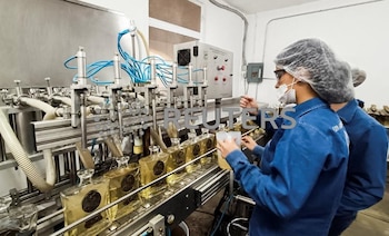 El Subsidio al Empleo 2025