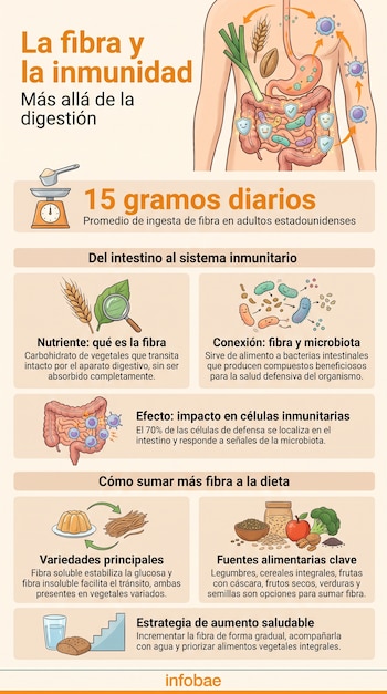 Ilustración de un cuerpo humano con sistema digestivo, fibra, alimentos vegetales, microorganismos intestinales y células inmunitarias. Incluye gráficos y texto explicativo.
