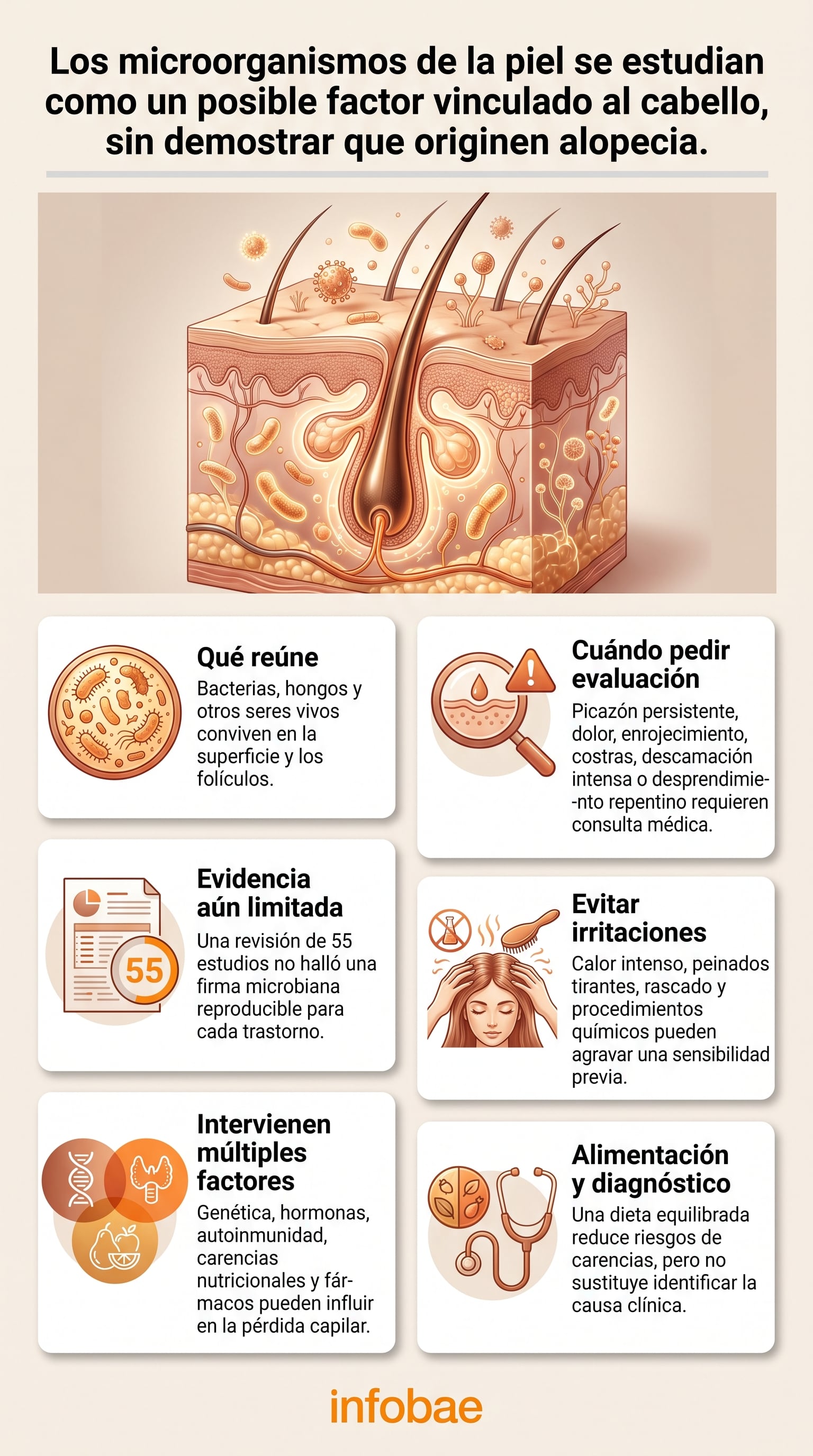 La investigación estudia la relación entre las comunidades microbianas y la inflamación alrededor del folículo. (Imagen Ilustrativa Infobae)