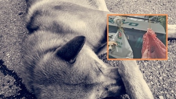 Indignación por un video en