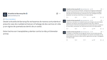 La Alcaldía de Barranquilla reportó el hallazgo de las mascotas incineradas - crédito @alcaldiabquilla/X