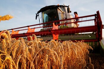 FOTO DE ARCHIVO. Un agricultor