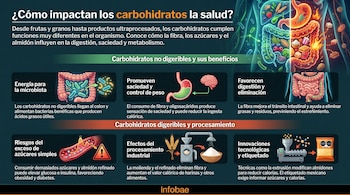 Infografía detallada sobre el impacto de los carbohidratos en la salud, mostrando el sistema digestivo, alimentos y procesos metabólicos.
