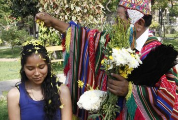 Venta de flores amarillas se