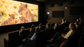 Personas sentadas en butacas oscuras de un cine, mirando una gran pantalla que proyecta una leona y dos cachorros. Algunas personas llevan auriculares.