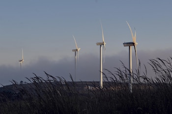 Imagen Y7HYNEZ5ORDGDEXLWAEOUITCG4