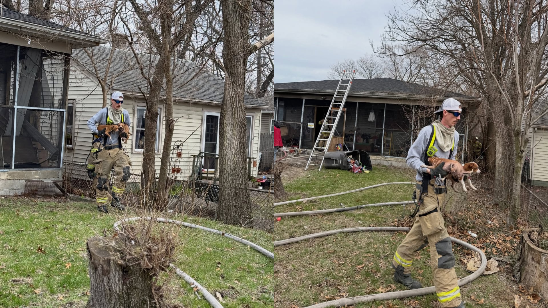 Los Departamentos de Bomberos actuaron con rapidez para salvar a los animales atrapados (Facebook: Hobart Fire Department).