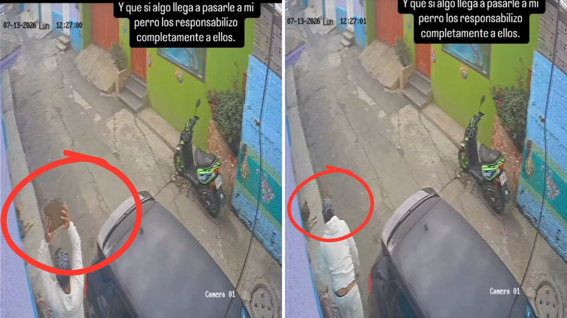 Captan en video presunta agresión contra un perro en Xochimilco; dueño busca fortalecer denuncia