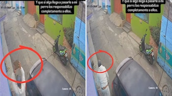 Captan en video presunta agresión contra un perro en Xochimilco; dueño busca fortalecer denuncia
