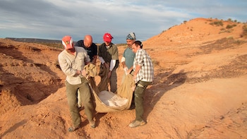 Científicos del CONICET lideraron el