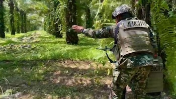 Frente a ataques con drones,