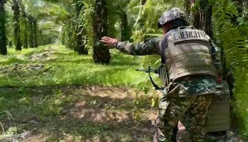 Imagen de referencia. El Consejo