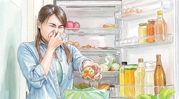 Mujer con camisa azul cubre su nariz, sostiene naranja con moho. Refrigerador abierto con huevos, manzanas, botellas, envases, verduras.