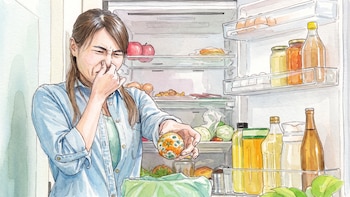 Cómo evitar que aparezca moho en las frutas, verduras y quesos