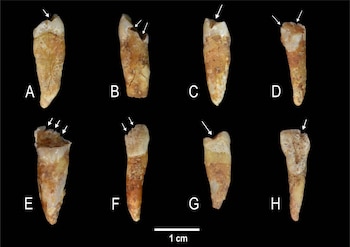 Imagen Y7OOXYQEV5DXVMGIGJZ4MD3LQE