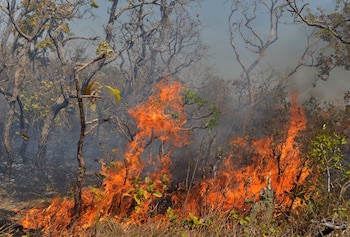 La OMM advierte crisis en