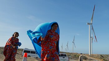 Tres exgobernadores de La Guajira fueron condenados a 9 años de cárcel por irregularidades en el contrato de la construcción de una vía en Riohacha