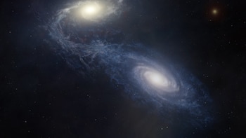 Reconstruyen la evolución de una