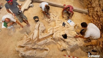 La madera era "parte fundamental" en la vida de los neandertales, según un estudio