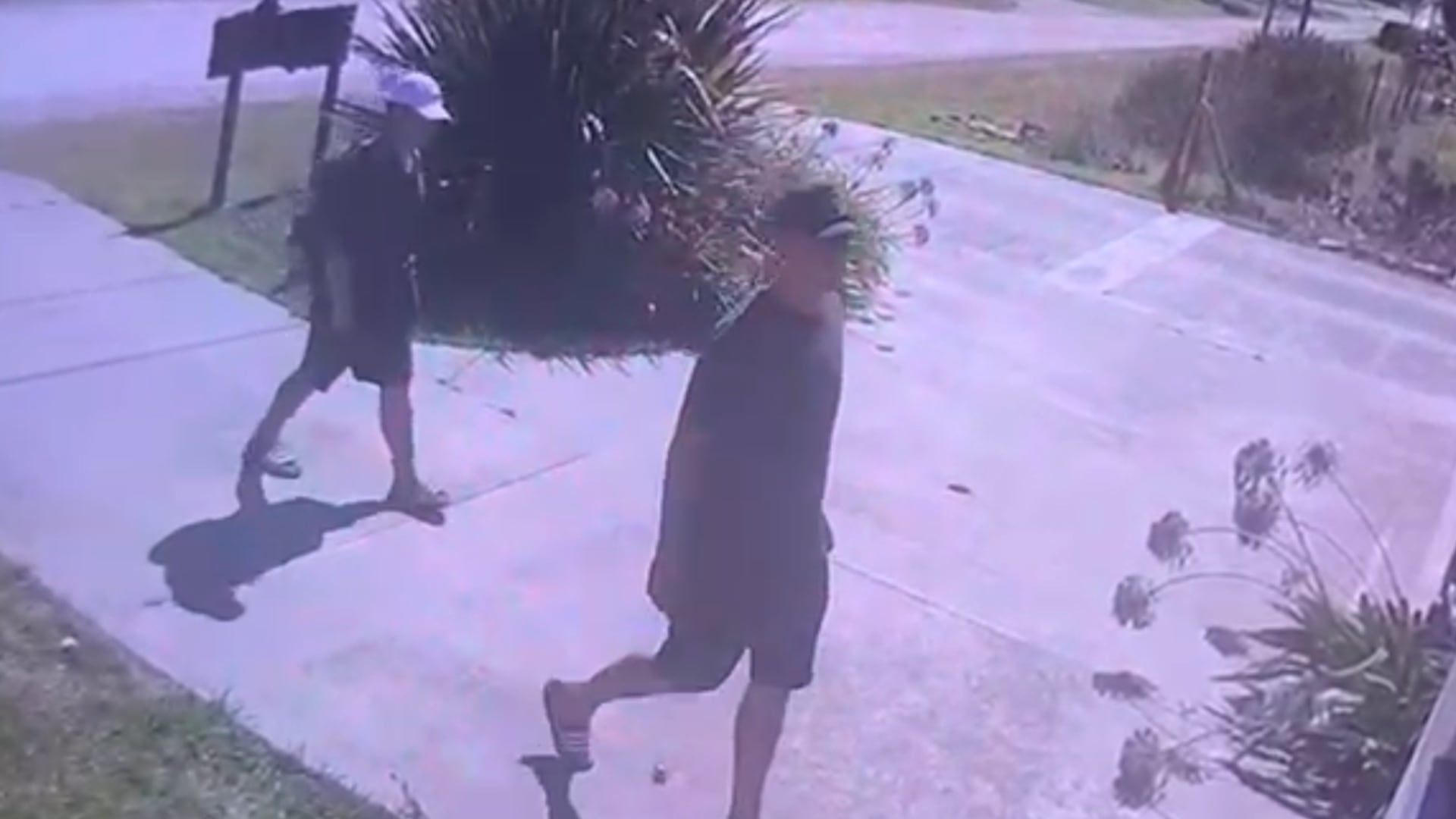 Los dos sospechosos.