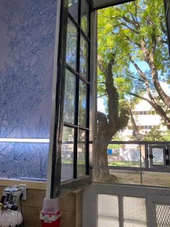 Esta iniciativa, impulsada por Bienalsur,