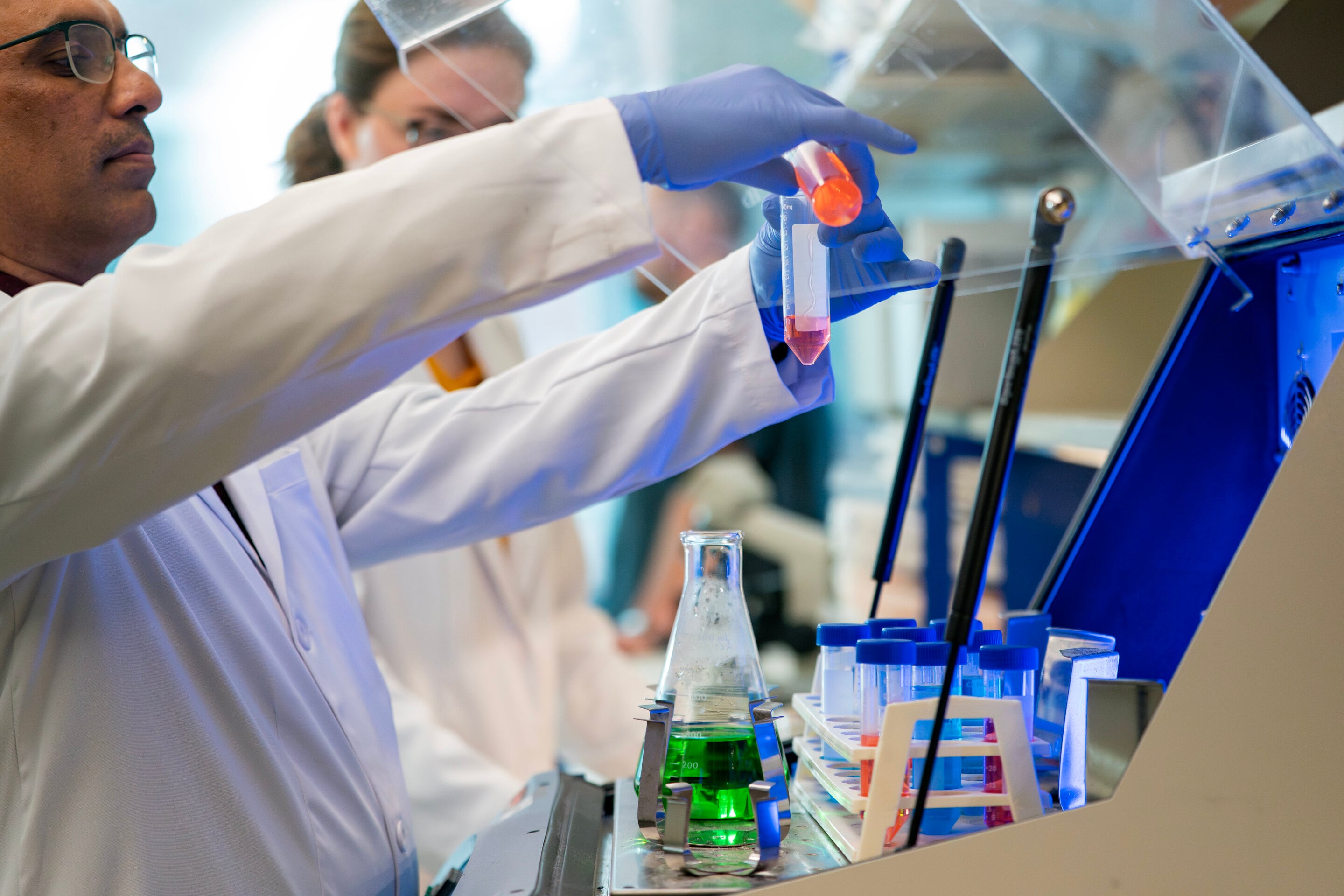 El aerosol nasal logró restaurar la memoria y mejorar la función cognitiva en ratones envejecidos tratados en laboratorio