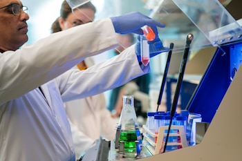 El aerosol nasal logró restaurar la memoria y mejorar la función cognitiva en ratones envejecidos tratados en laboratorio