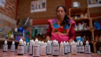 Así han renacido las plantas