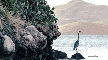 bahía de Ohuira