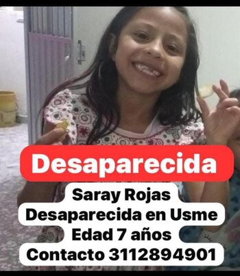 Cayó a un río mientras