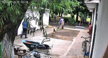 El momento en el que