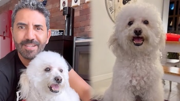 Pipoca, la engreída de cuatro